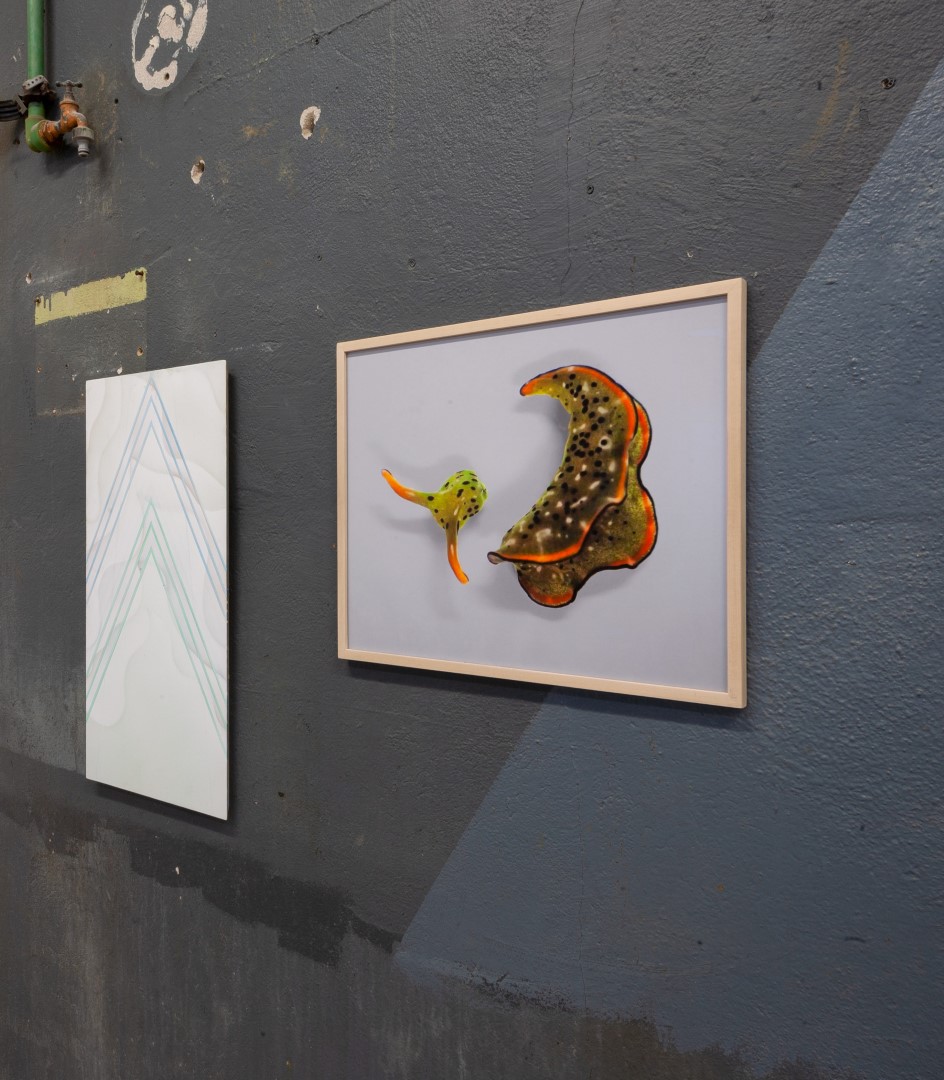 Cim Jubke cimjubke painting airbrush waves spray elysia marginata